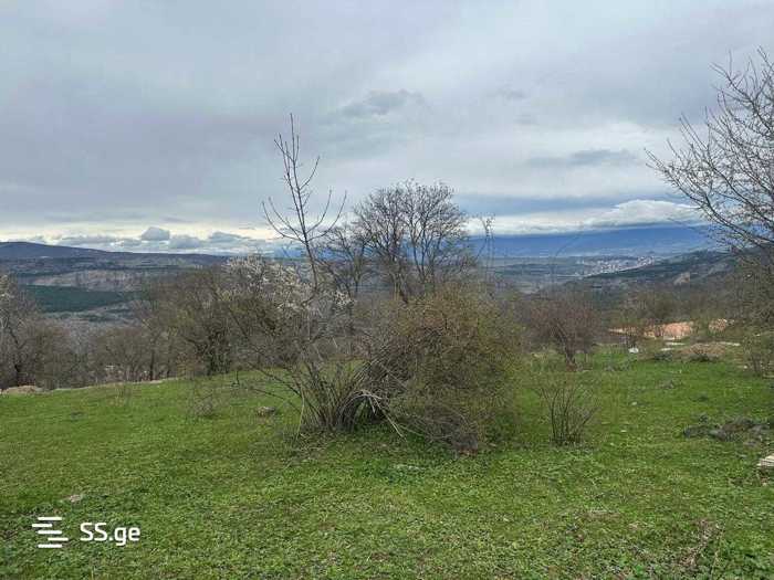 https://static.ss.ge/20260407/14_73723ade-1465-4375-88cf-52f6c49040e9_Thumb.jpg
