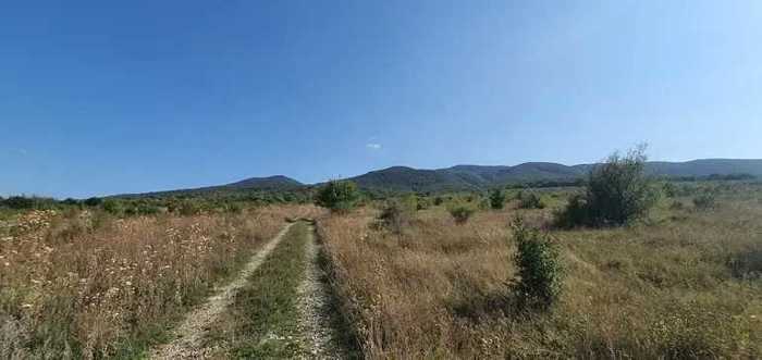 Land For Sale. Navdaraantkari