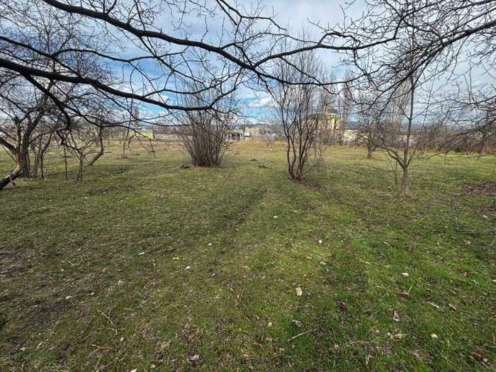 Land For Sale. Sartichala