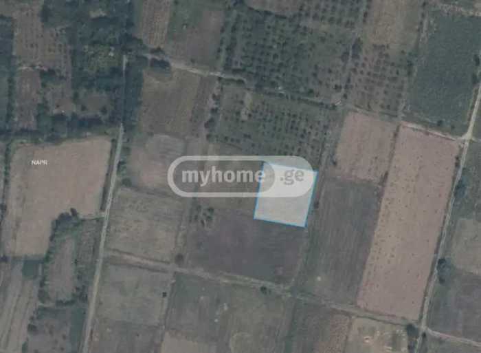 Land For Sale. Kareli