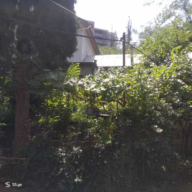 https://static.ss.ge/20260407/8_1456ef6b-5e12-432a-a266-e567bc318a03_Thumb.jpg