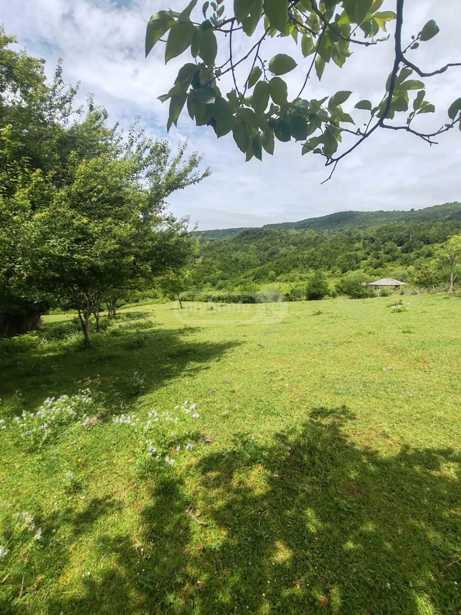 Land For Sale. Dzveli Senaki
