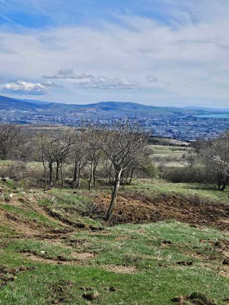 Land For Sale. Telovani