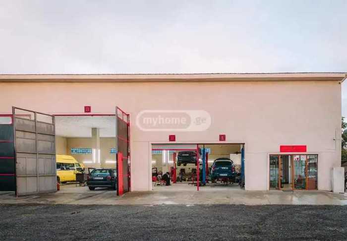 Commercial Real Estate For Sale. Ozurgeti