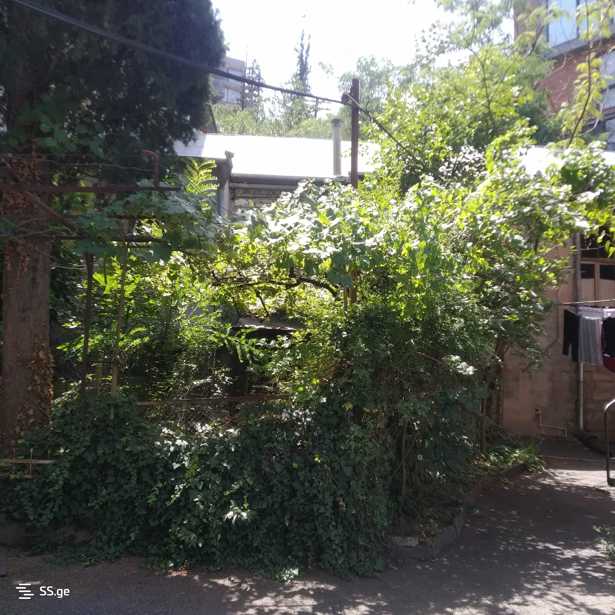 https://static.ss.ge/20260407/9_81f1a403-e415-4052-936f-21cac5d43ce5_Thumb.jpg