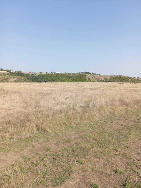 Land For Sale. Broceula