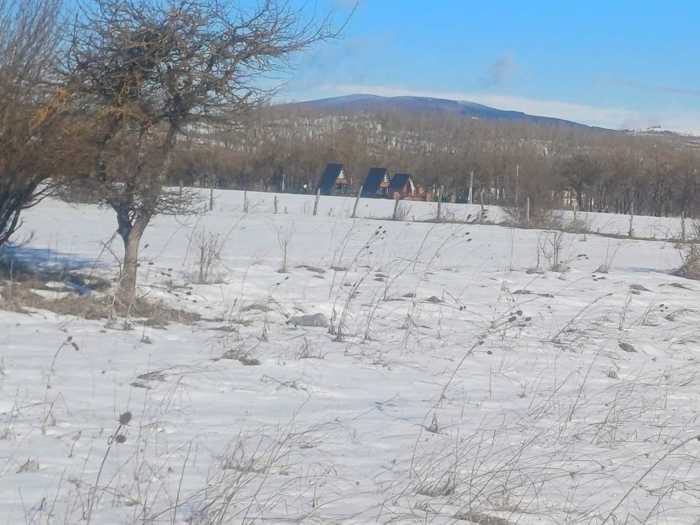 Land For Sale. Tianeti