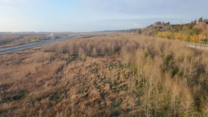 Land For Sale. Zemo Natanebi