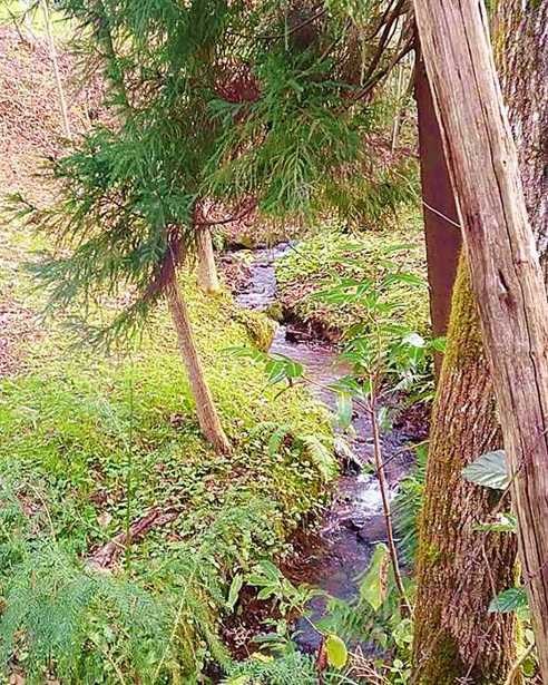 Land For Sale. Tsikhisdziri