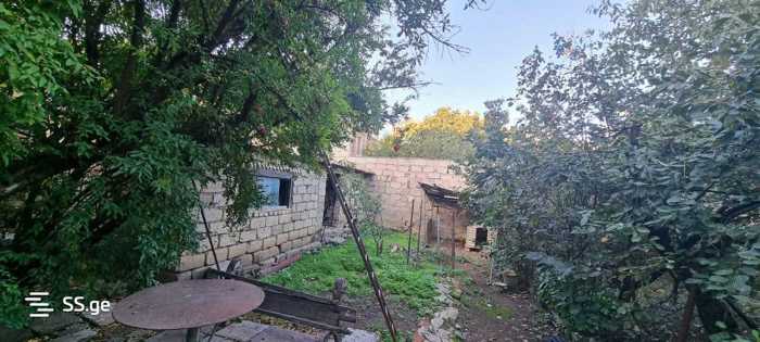 https://static.ss.ge/20260408/12_99e448f3-d406-4eff-9684-464bca53f9ac_Thumb.jpg