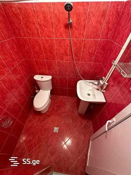 https://static.ss.ge/20260408/14_470c5494-ca54-4a24-918e-dd792c47472e_Thumb.jpg