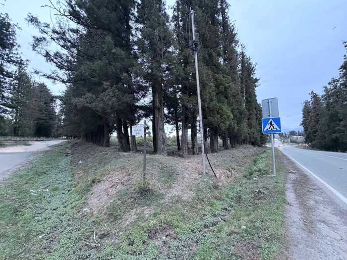 Land For Sale. Kvemo Natanebi