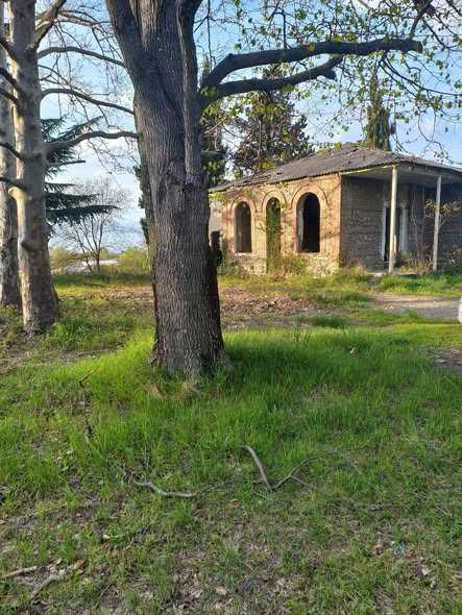 Land For Sale. Tsinandali