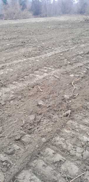 Land For Sale. Ninigori