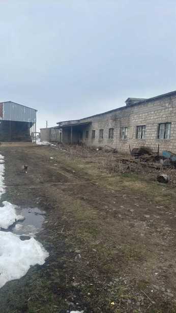 Land For Sale. Tsalka
