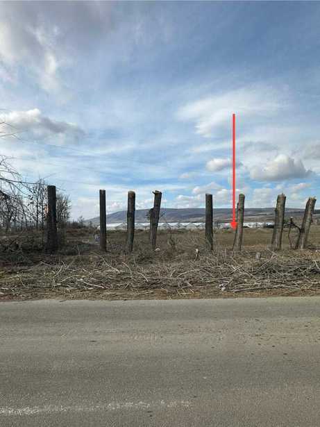 Land For Sale. Mukhrani