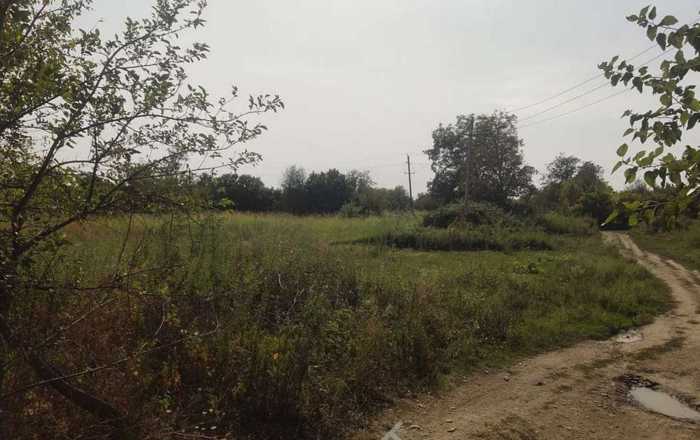 Land For Sale. Kvareli