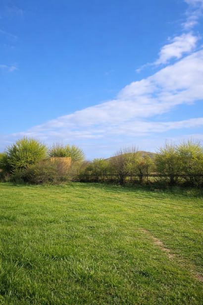Land For Sale. Teladgori