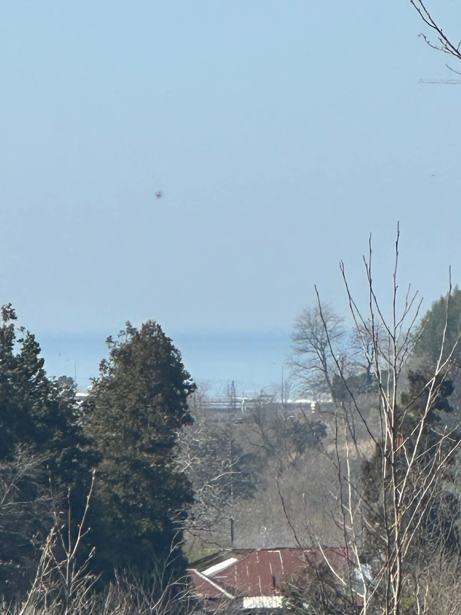 Land For Sale. Tsinsvla, Chelta