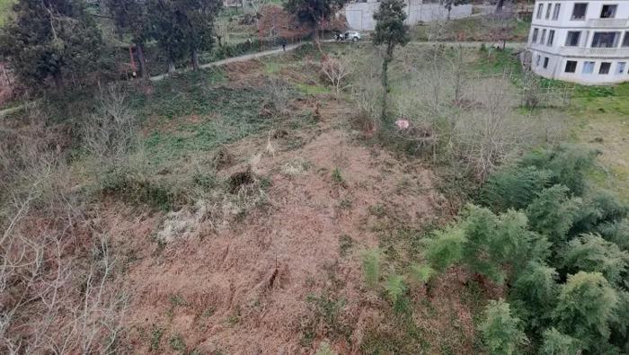 Land For Sale. Tsinsvla, Chelta