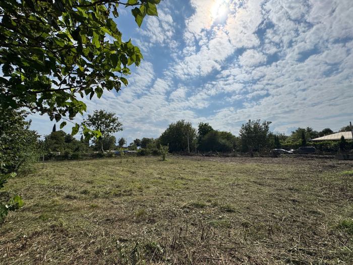 Land For Sale. Kvareli