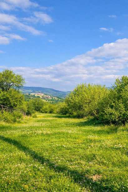 Land For Sale. Teladgori