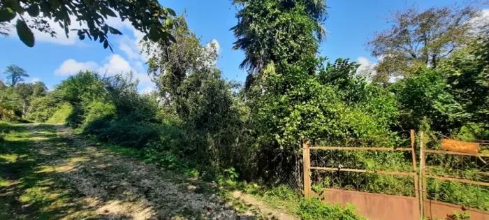 Land For Sale. Abastumani