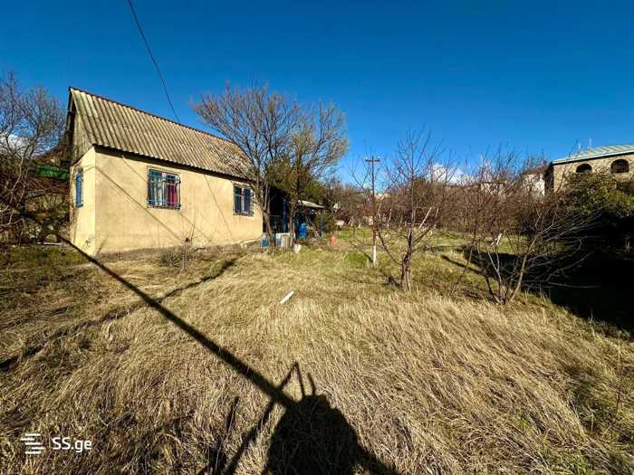 https://static.ss.ge/20260408/8_89bd2772-0ef0-407b-ab83-cbe39faf9ea4_Thumb.jpg