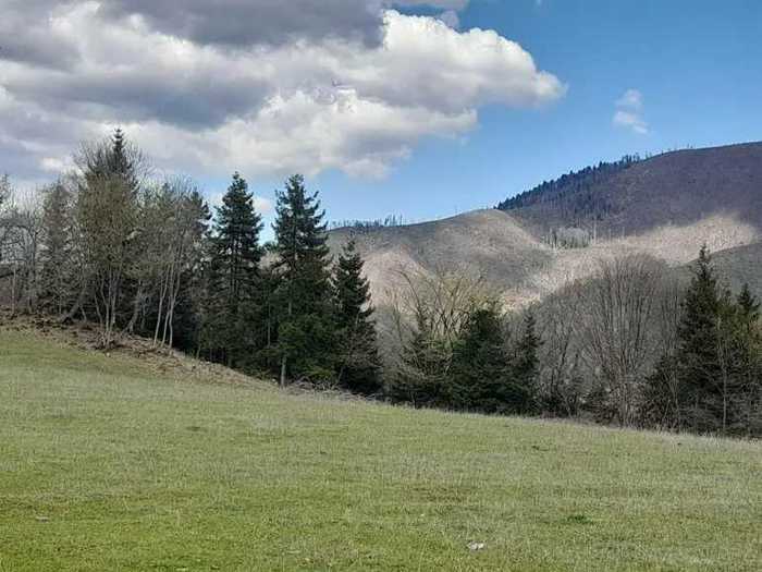 Land For Sale. Tba