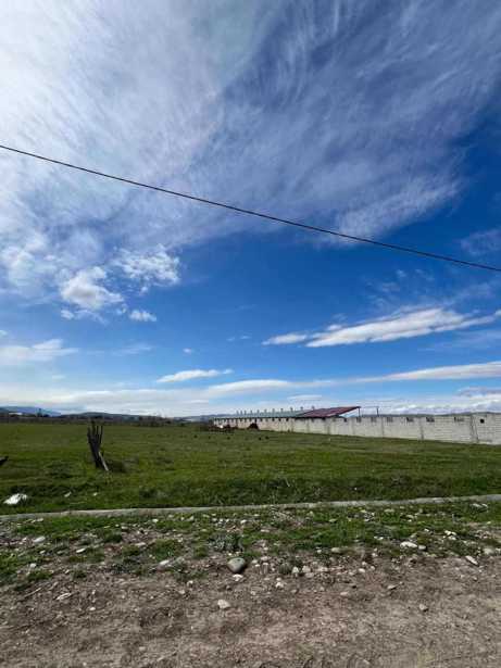 Land For Sale. Tserovani