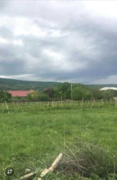 Land For Sale. Tserovani