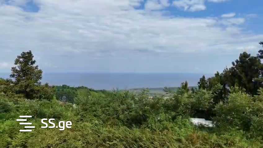 იყიდება მიწა გონიოში view 1