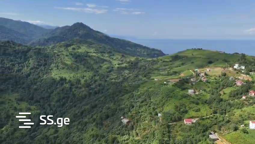 იყიდება მიწა გონიოში view 8
