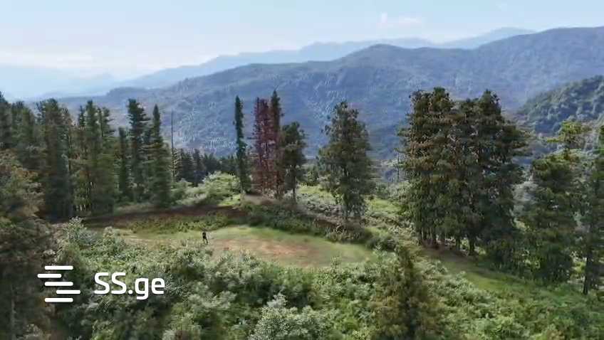 იყიდება მიწა გონიოში view 2