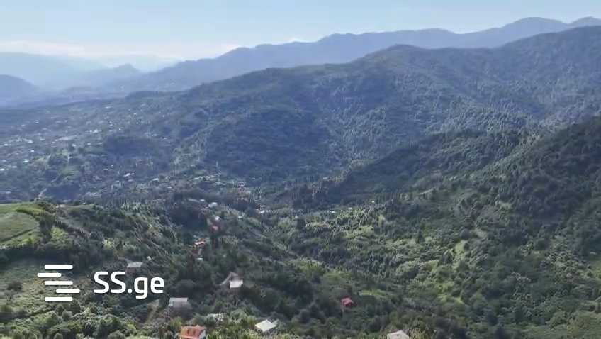 იყიდება მიწა გონიოში view 10