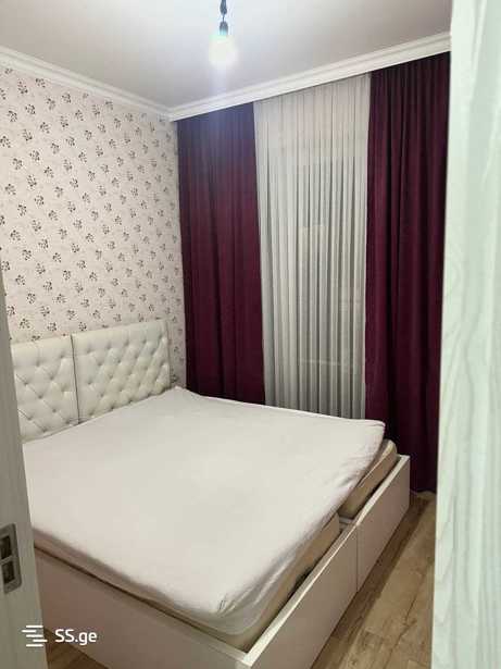 https://static.ss.ge/20260409/4_f4aa465b-dfca-4c09-b674-3e7d563c7c90_Thumb.jpg