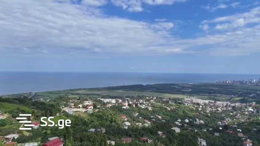 იყიდება მიწა გონიოში view 7