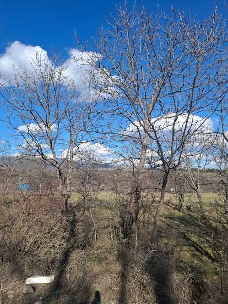 Land For Sale. Norio