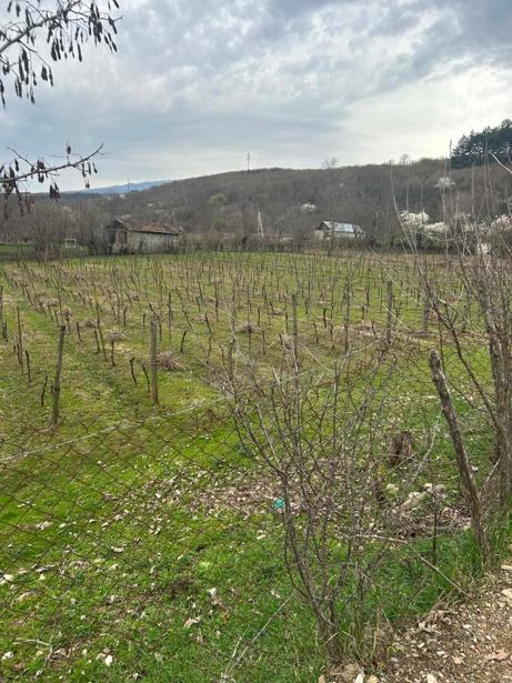 Land For Sale. Ikalto