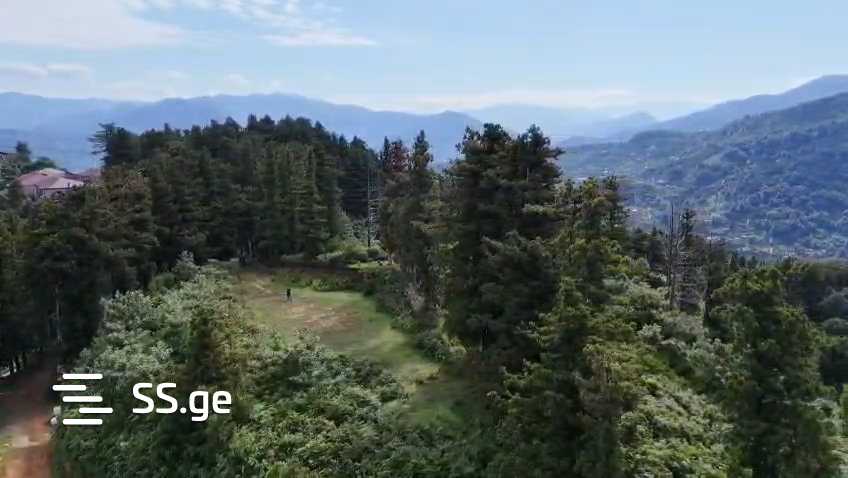 იყიდება მიწა გონიოში view 3