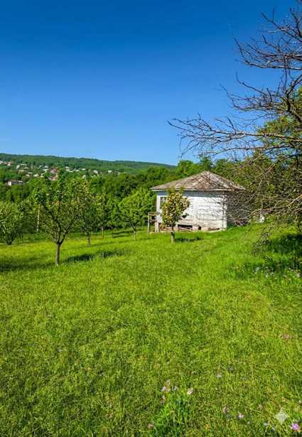 Land For Sale. Martkofi