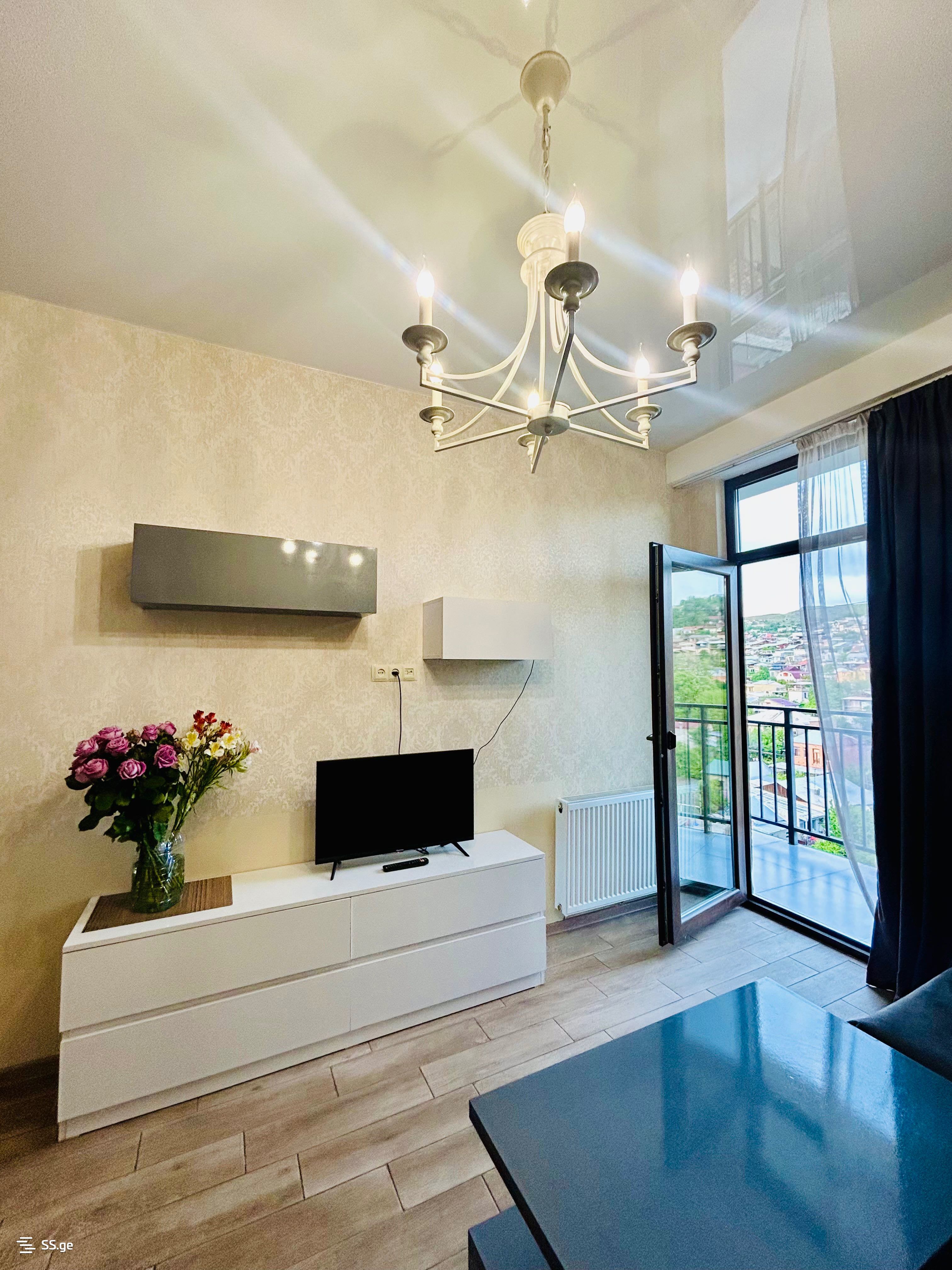 2 Room Flat Daily Rent. Nadzaladevi view 4