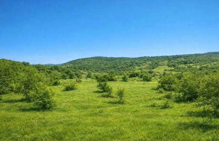 Land For Sale. Mamkoda