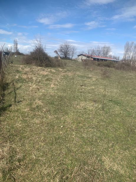 Land For Sale. Gamarjveba