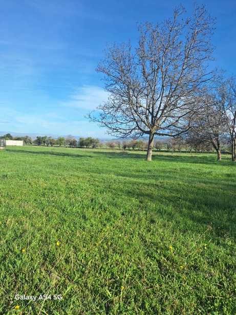 Land For Sale. Zemo Teleti