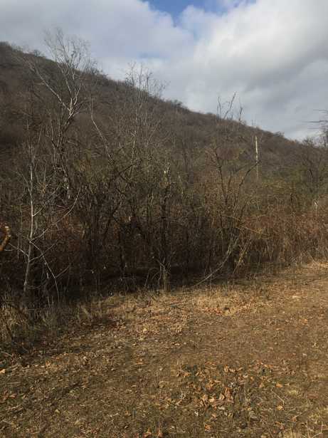 Land For Sale. Aragvispiri