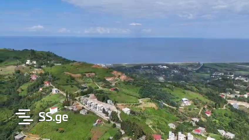 იყიდება მიწა გონიოში view 6