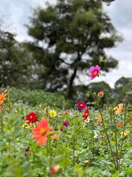 Land For Sale. Kiketi