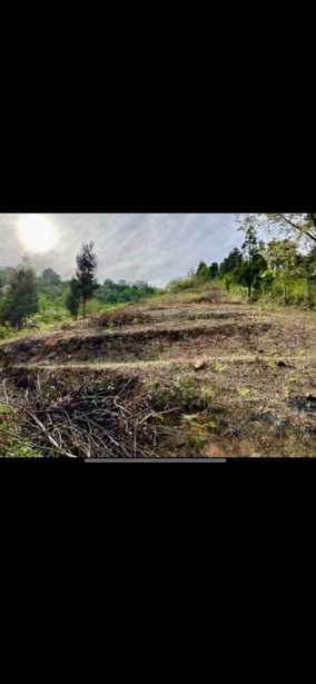 Land For Sale. Peria