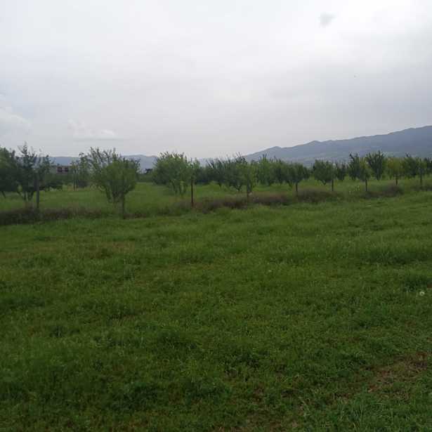 Land For Sale. Misaktsieli